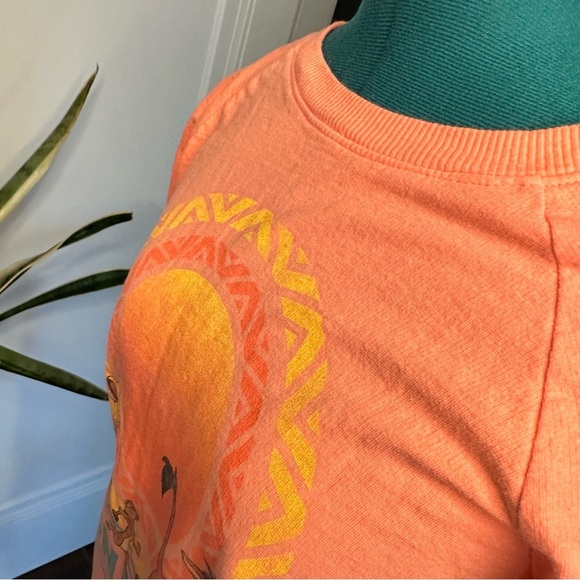 Disney || The Lion King Dance lightweight Sweatshirt small - Picture 9 of 11